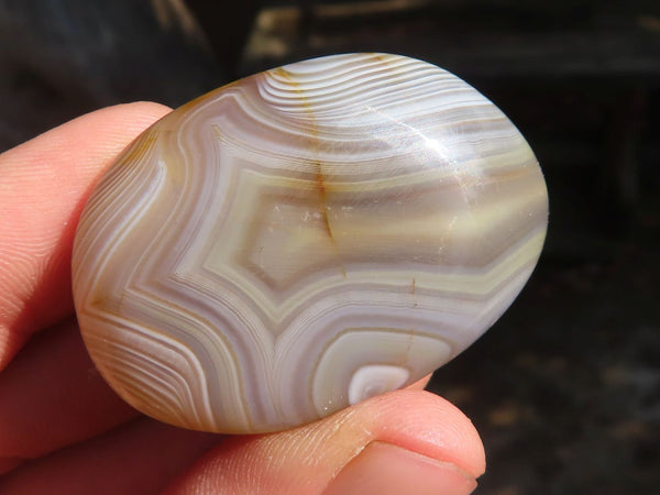 Polished Highly Selected Banded Agate Palm Stones  x 20 From Madagascar