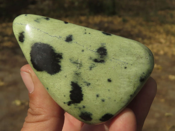 Polished Green Leopard Stone Free Forms x 5 From Zimbabwe - TopRock