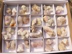 Natural Small Mixed Spirit Quartz Specimens  x 36 From Boekenhouthoek, South Africa - Toprock Gemstones and Minerals 