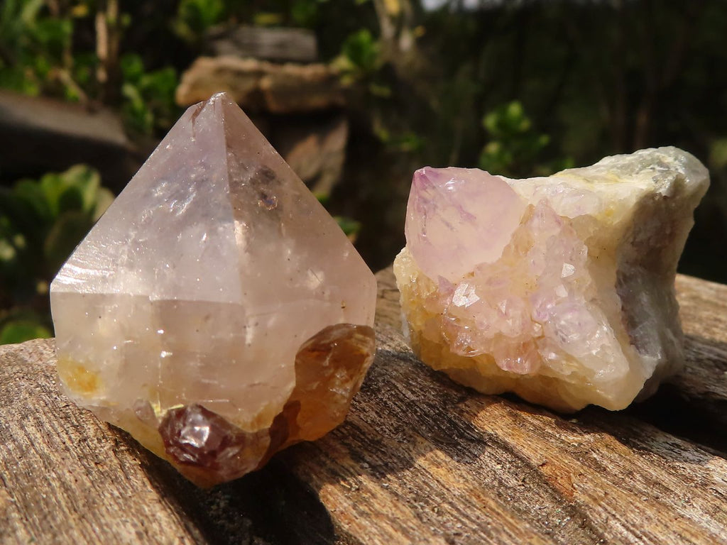 Natural Small Mixed Spirit Quartz Specimens  x 36 From Boekenhouthoek, South Africa - Toprock Gemstones and Minerals 
