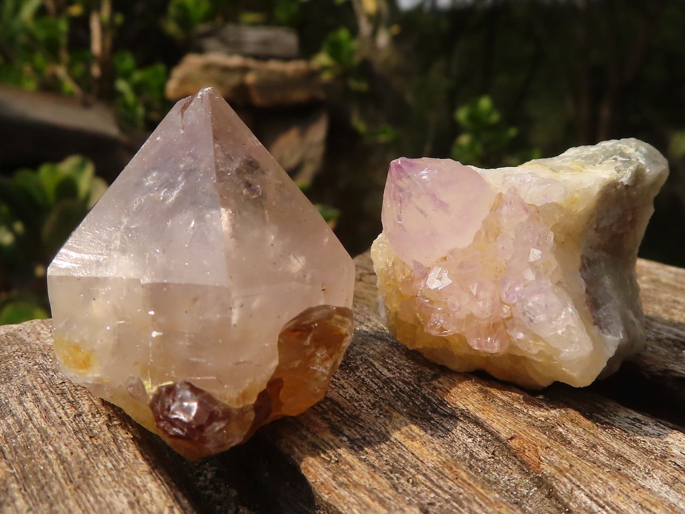 Natural Small Mixed Spirit Quartz Specimens  x 36 From Boekenhouthoek, South Africa - Toprock Gemstones and Minerals 