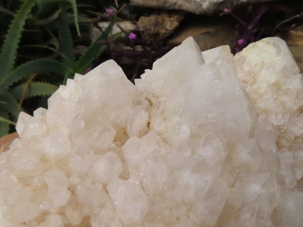 Natural Groovy Extra Large Kitana Cascading Crystal Cluster x 1 From Ambatfinhandrana, Madagascar - TopRock