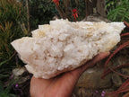 Natural Groovy Extra Large Kitana Cascading Crystal Cluster x 1 From Ambatfinhandrana, Madagascar - TopRock