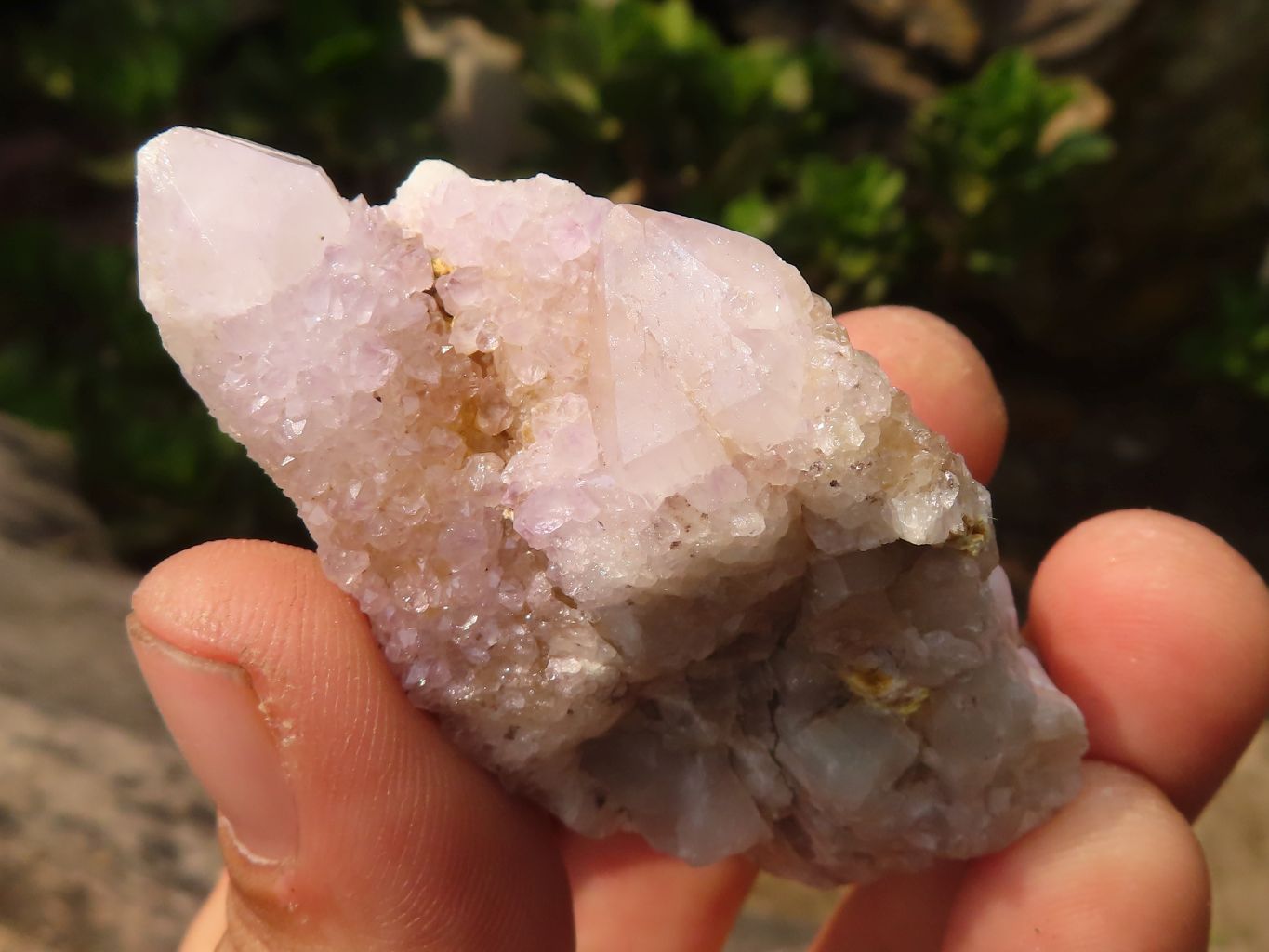Natural Small Mixed Spirit Quartz Specimens  x 36 From Boekenhouthoek, South Africa - Toprock Gemstones and Minerals 