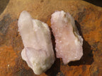 Natural Small Mixed Spirit Quartz Specimens  x 36 From Boekenhouthoek, South Africa - Toprock Gemstones and Minerals 