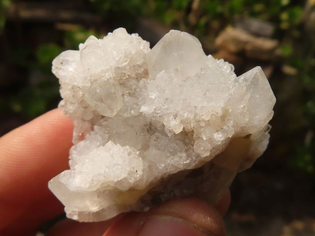 Natural Small Mixed Spirit Quartz Specimens  x 36 From Boekenhouthoek, South Africa - Toprock Gemstones and Minerals 
