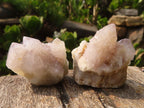 Natural Small Mixed Spirit Quartz Specimens  x 36 From Boekenhouthoek, South Africa - Toprock Gemstones and Minerals 