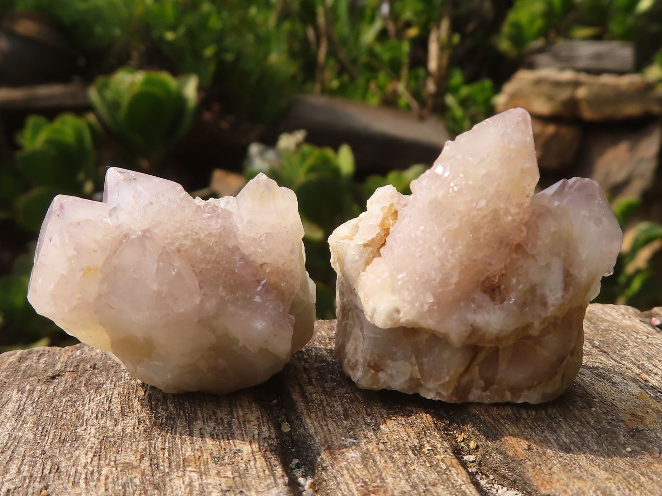 Natural Small Mixed Spirit Quartz Specimens  x 36 From Boekenhouthoek, South Africa - Toprock Gemstones and Minerals 