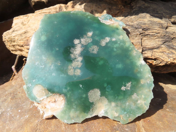 Polished One Side Emerald Chrysoprase Mtorolite Slices x 2 From Mutorashanga, Zimbabwe - TopRock