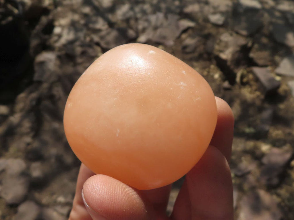 Polished Orange Twist Calcite Palm Stones  x 12 From Madagascar - TopRock