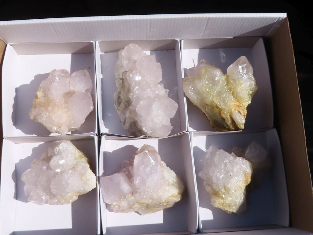 Natural White Cactus Flower Spirit Quartz Specimens x 6 From Boekenhouthoek, South Africa - Toprock Gemstones and Minerals 