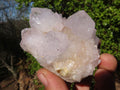 Natural White Cactus Flower Spirit Quartz Specimens x 6 From Boekenhouthoek, South Africa - Toprock Gemstones and Minerals 