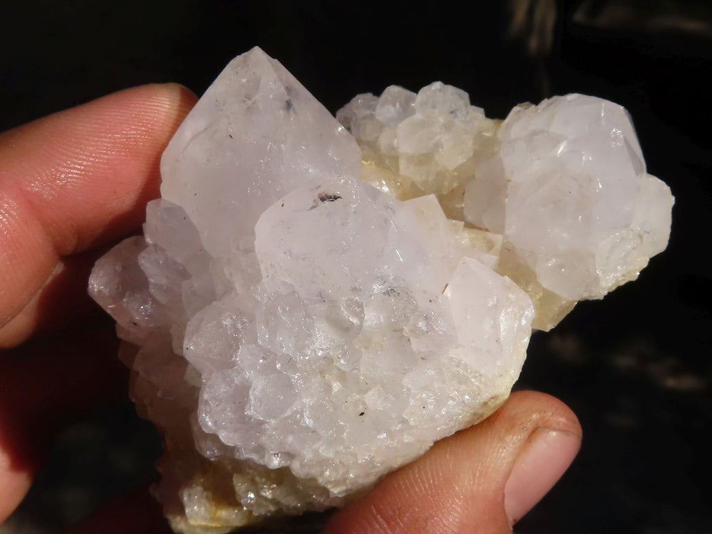Natural White Cactus Flower Spirit Quartz Specimens x 6 From Boekenhouthoek, South Africa - Toprock Gemstones and Minerals 