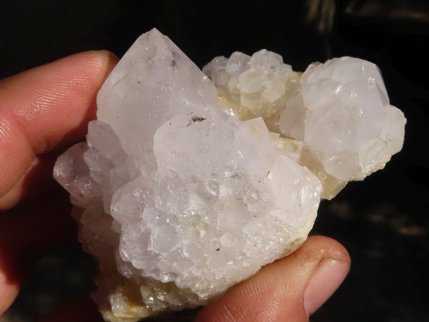 Natural White Cactus Flower Spirit Quartz Specimens x 6 From Boekenhouthoek, South Africa - Toprock Gemstones and Minerals 