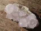 Natural White Cactus Flower Spirit Quartz Specimens x 6 From Boekenhouthoek, South Africa - Toprock Gemstones and Minerals 