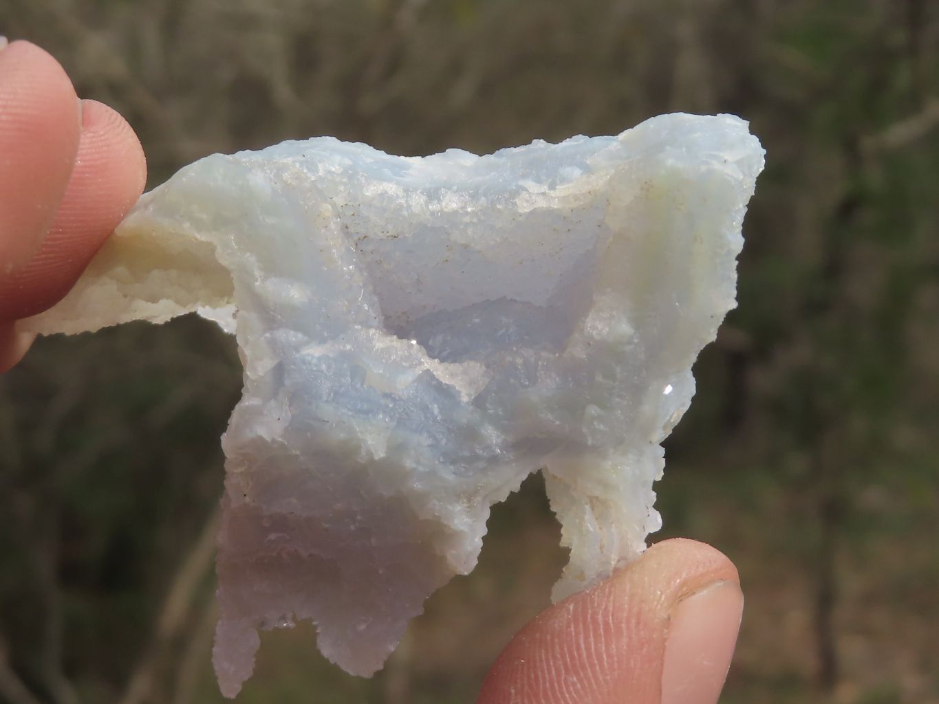 Natural Small Etched Blue Chalcedony Specimens  x 35 From Malawi - TopRock