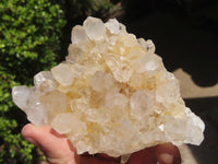 Natural Golden Limonite Quartz Clusters x 4 From Zambia - Toprock Gemstones and Minerals 