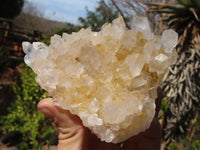 Natural Golden Limonite Quartz Clusters x 4 From Zambia - Toprock Gemstones and Minerals 