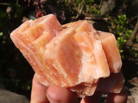 Natural New Sunset Orange Calcite Specimens  x 12 From Spitzkop, Namibia - Toprock Gemstones and Minerals 