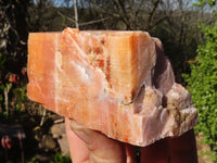 Natural New Sunset Orange Calcite Specimens  x 12 From Spitzkop, Namibia - Toprock Gemstones and Minerals 