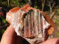 Natural New Sunset Orange Calcite Specimens  x 12 From Spitzkop, Namibia - Toprock Gemstones and Minerals 