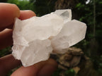 Natural Selected Pineapple Quartz Crystals  x 24 From Madagascar - TopRock
