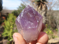 Natural Jacaranda Amethyst Points x 12 From Zambia - Toprock Gemstones and Minerals 