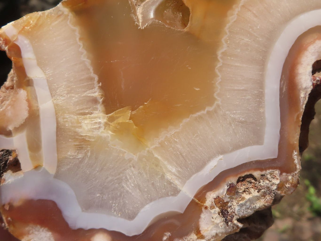 Polished Mixed Selection Of Retail Items  x 6 From Southern Africa - TopRock