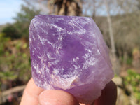 Natural Jacaranda Amethyst Points x 12 From Zambia - Toprock Gemstones and Minerals 