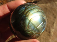 Polished Small Labradorite Spheres  x 6 From Tulear, Madagascar - Toprock Gemstones and Minerals 