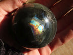 Polished Small Labradorite Spheres  x 6 From Tulear, Madagascar - Toprock Gemstones and Minerals 