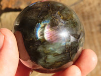 Polished Small Labradorite Spheres  x 6 From Tulear, Madagascar - Toprock Gemstones and Minerals 