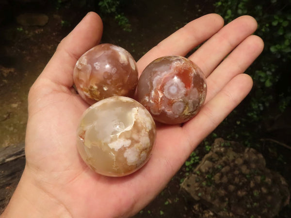Polished Coral Flower Agate Spheres & Free Forms  x 10 From Madagascar - TopRock
