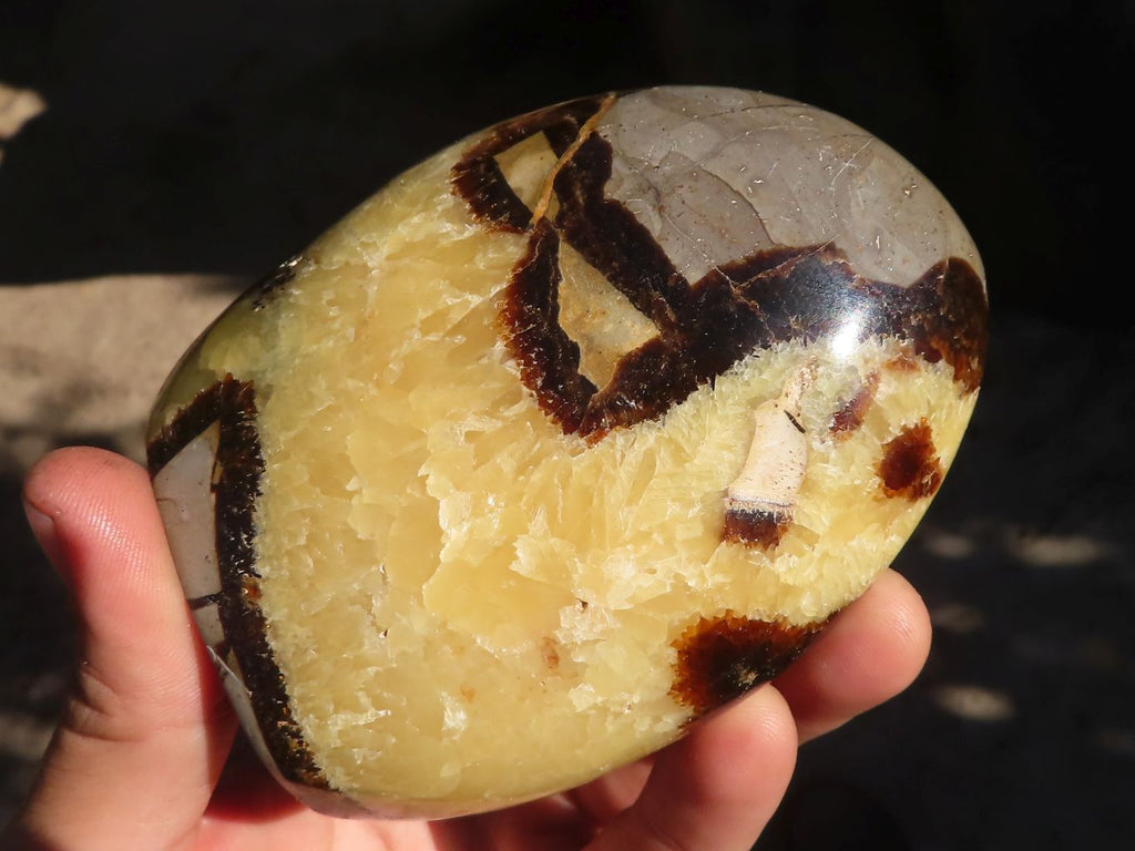 Polished Septerye Standing Free Forms x 3 From Mahajanga, Madagascar - Toprock Gemstones and Minerals 