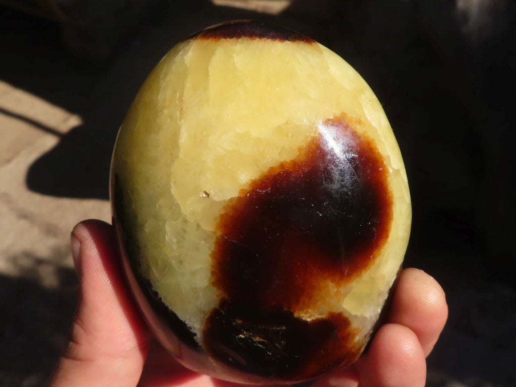 Polished Septerye Standing Free Forms x 3 From Mahajanga, Madagascar - Toprock Gemstones and Minerals 