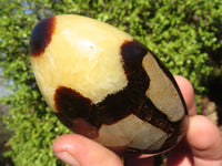 Polished Septerye Standing Free Forms x 3 From Mahajanga, Madagascar - Toprock Gemstones and Minerals 