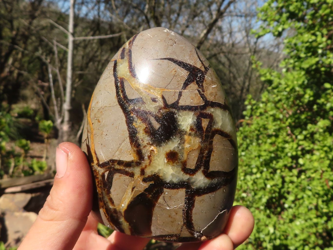 Polished Septerye Standing Free Forms x 3 From Mahajanga, Madagascar - Toprock Gemstones and Minerals 