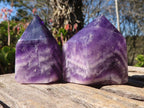 Polished Chevron Amethyst Points x 6 From Zambia - Toprock Gemstones and Minerals 
