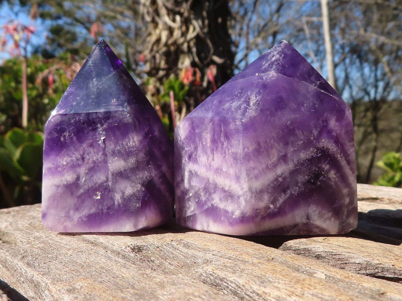 Polished Chevron Amethyst Points x 6 From Zambia - Toprock Gemstones and Minerals 