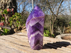 Polished Chevron Amethyst Points x 6 From Zambia - Toprock Gemstones and Minerals 
