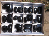 Polished Black Tourmaline Palm Stones  x 24 From Madagascar - TopRock