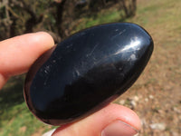 Polished Black Tourmaline Palm Stones  x 24 From Madagascar - TopRock