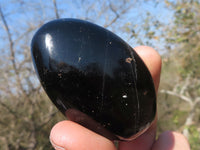 Polished Black Tourmaline Palm Stones  x 24 From Madagascar - TopRock
