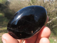 Polished Black Tourmaline Palm Stones  x 24 From Madagascar - TopRock