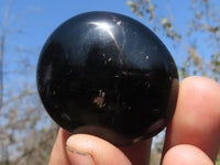 Polished Black Tourmaline Palm Stones  x 24 From Madagascar - TopRock