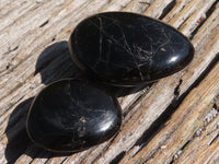 Polished Black Tourmaline Palm Stones  x 24 From Madagascar - TopRock