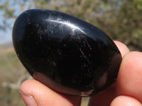Polished Black Tourmaline Palm Stones  x 24 From Madagascar - TopRock