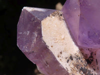 Natural Jacaranda Amethyst Clusters  x 3 From Zambia - TopRock