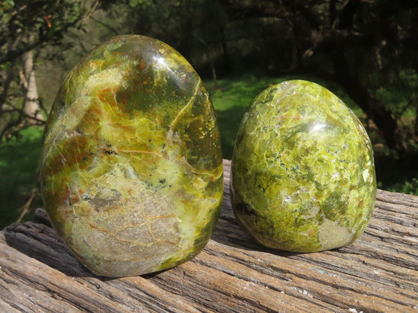 Polished Vibrant Green Opal Standing Free Forms x 2 From Antsirabe, Madagascar - TopRock