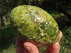 Polished Vibrant Green Opal Standing Free Forms x 2 From Antsirabe, Madagascar - TopRock